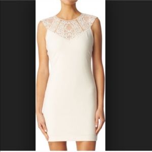 Ted Baker Violina Dress Lace Button Up Back